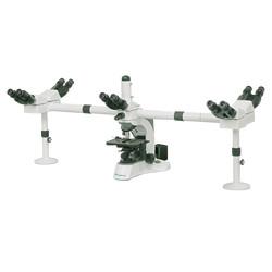 Multi-Viewing Microscope : Multi-Viewing Biological Microscope LMB-B10